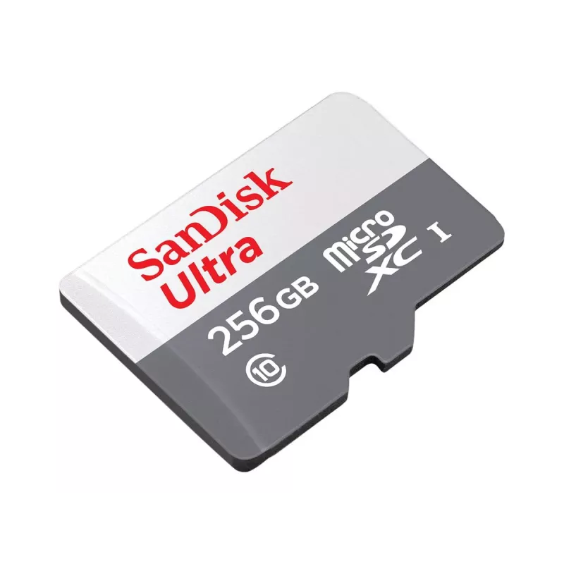 Flash pamäť SanDisk 256 GB MicroSDXC UHS-I SDSQUNR-256G-GN6TA