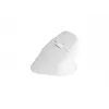 NATEC Crake 2 myš, univerzálna, pre pravákov, RF Wireless + Bluetooth, optická, 2400 DPI