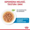 ROYAL CANIN SHN Mini Puppy in Sauce - mokré krmivo pre šteniatka - 12X85g