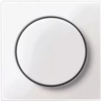 Merten MEG5250-0325. Farba produktu: biela (MEG5250-0325)