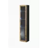 Vitrína Cama Meble VIGO 180 nástenná sklenená vitrína 1800×400×300 mm čierna/dub Wotan