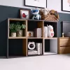 Topeshop MALAX 2X3 ANT/ART obývacia knižnica