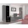 Cama vitrína VIGO '180' 180/40/30 čierna/čierna lesk