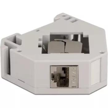 Delock - Modulárny adaptér - montovateľný na DIN lištu - CAT 6a - STP - sivý - 1 pripojenie (86014)