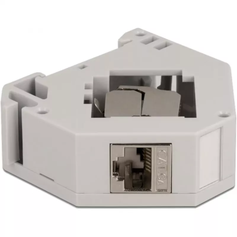Delock - Modulárny adaptér - montovateľný na DIN lištu - CAT 6a - STP - sivý - 1 pripojenie (86014)
