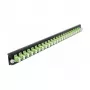 DeLOCK 19 palcov predný panel zváracieho boxu 43362 24 port LC Duplex limegreen