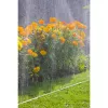 GARDENA postreková hadica 7,5 m (1995-20)