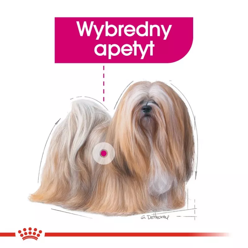 Mokré krmivo pre psy Royal Canin Exigent Meat Universal 12×85 g — hydina, dospelé, pre vyberavých psov