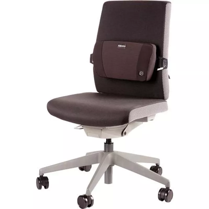 Podpora chrbtice PlushTouch/Lumbar 8026501 FELLOWES