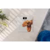 Váha Zelmer ZBS1010 biela ZBS1010 pes ZELMER