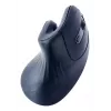 Gembird MUSW-ERGO-03 myš Home pravácka RF bezdrôtová optická 1600 DPI
