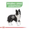 ROYAL CANIN CCN Medium Digestive Care - suché krmivo pre psov - 3 kg