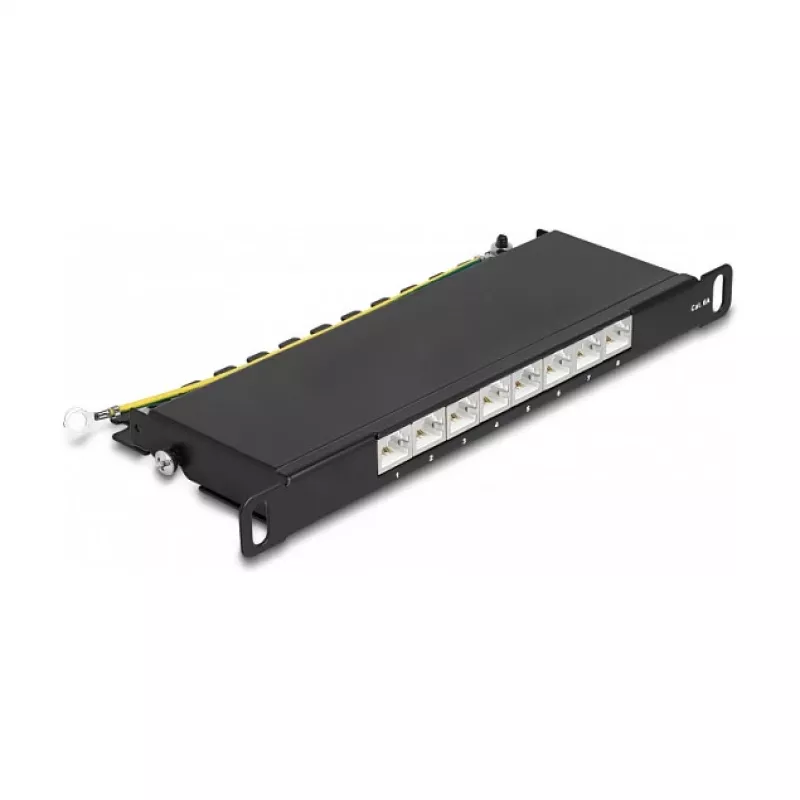 DeLOCK Patch panel 10 palcov 8 port Cat.6A 0,5U čierny