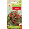 Bajaja cherry paradajka Toraf semená zeleniny, 0,3 g balenie