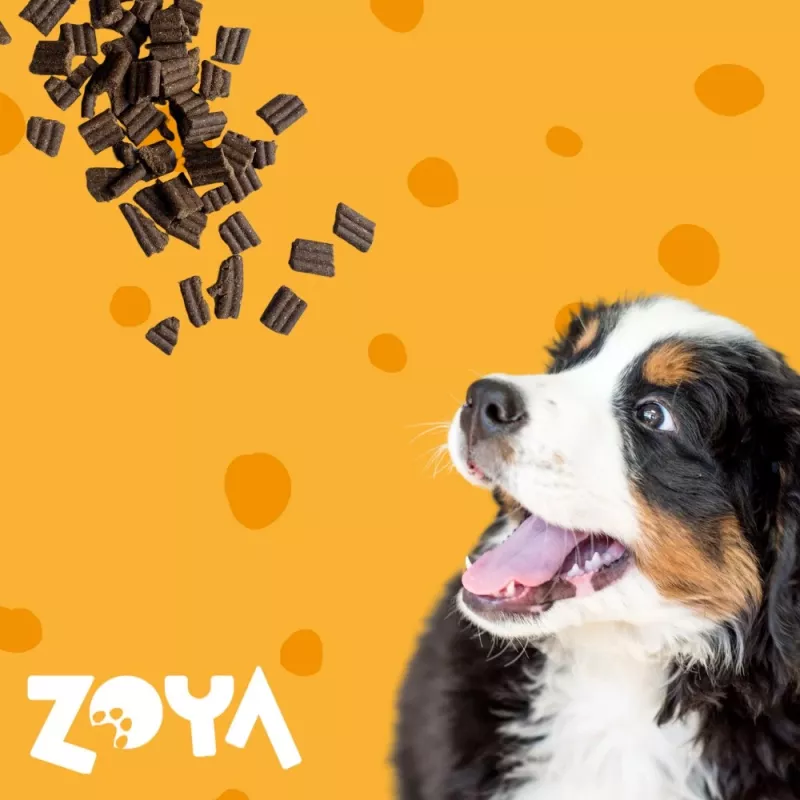 ZOYA ColdPRO Lamb - suché krmivo pre psov - 1 kg