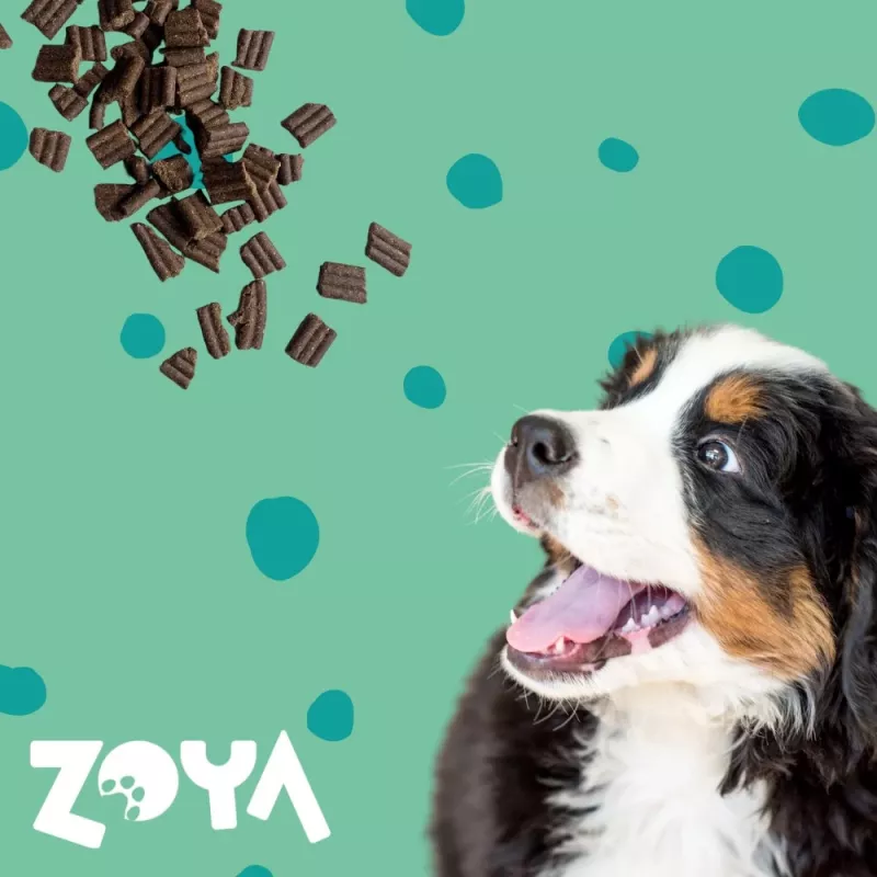 ZOYA ColdPRO jeleň - suché krmivo pre psov - 1 kg