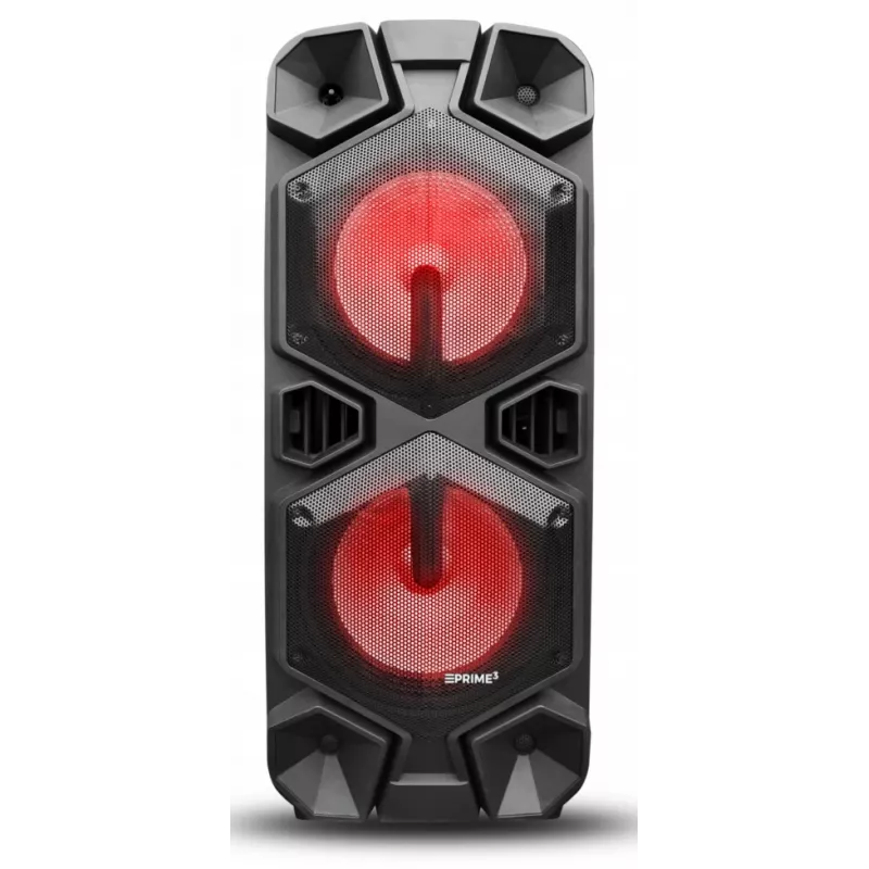 Prenosný reproduktor APA24 Bluetooth Karaoke, čierny