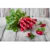 Opolanka reďkovka Toraf semená zeleniny, 10 g balenie