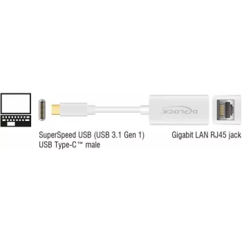DeLOCK 65906 Sieťový adaptér USB Type-C na Gigabit LAN, biely