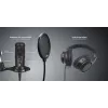 Štúdiový mikrofón Easypix 62021 čierny