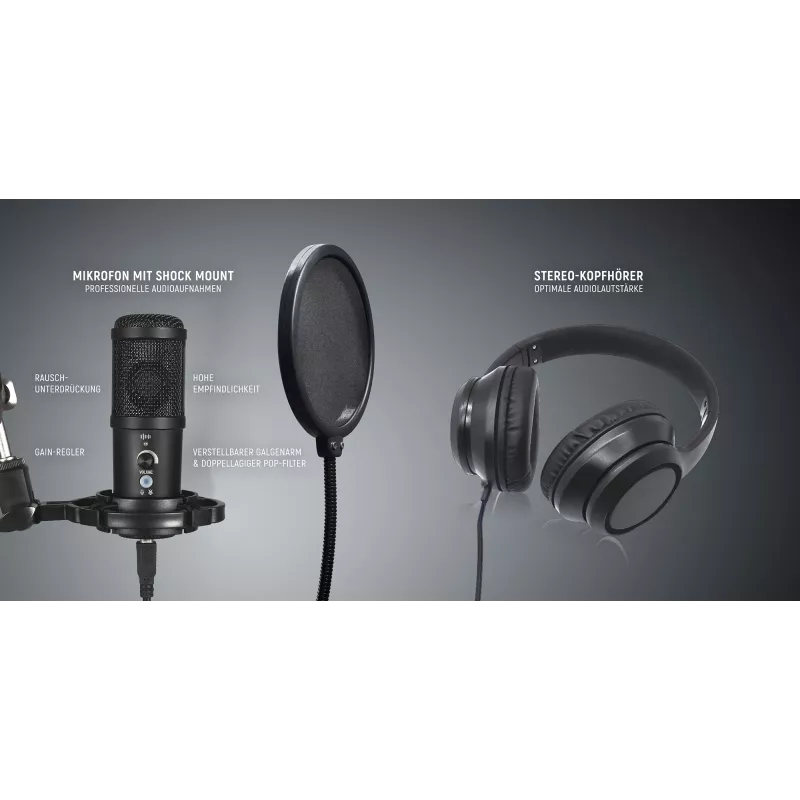 Štúdiový mikrofón Easypix 62021 čierny