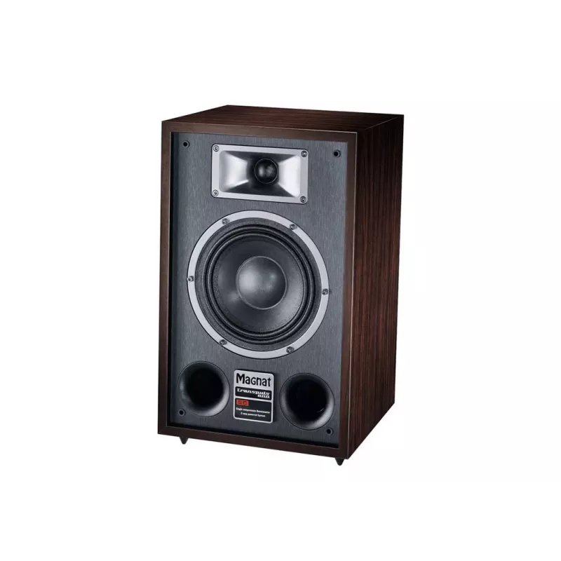 Stĺpový reproduktor Magnat TRANSPULS 800A 2-pásmový káblový & bezdrôtový 2×60 W, Bluetooth 5.0, HDMI, čierny/hnedý