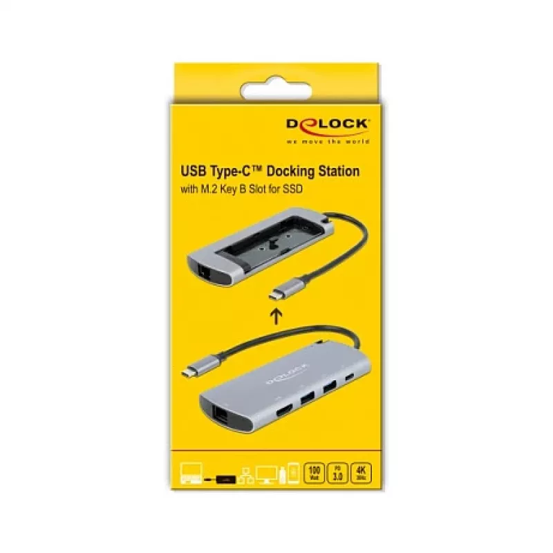 Dokovacia stanica DeLOCK USB Type-C dokovacia stanica so slotom M.2