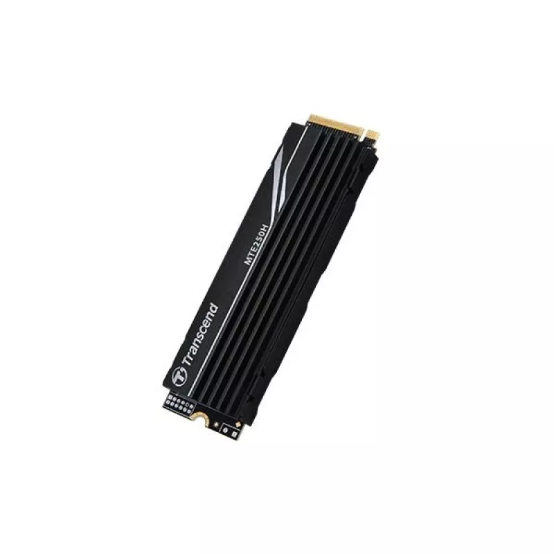 SSD disk Transcend 1 TB M.2 2280 PCIe Gen4x4 NVMe s DRAM a kovovým chladičom