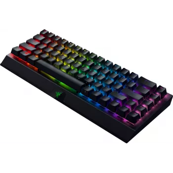 Klávesnica Razer BlackWidow V3 Mini
