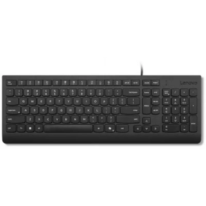 LENOVO Essential drôtová klávesnica AI litovská (LT)