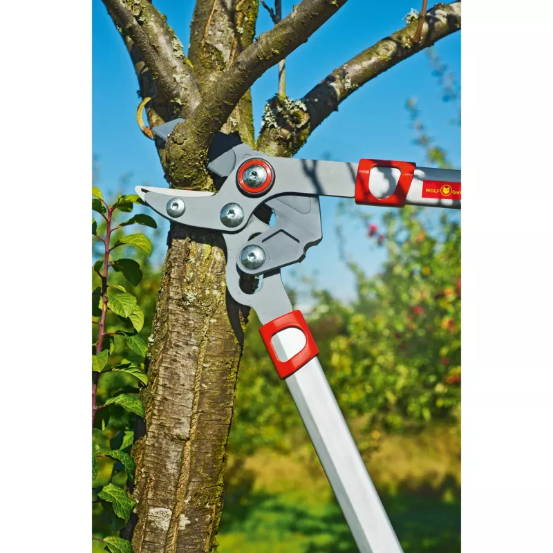 Nožnice na konáre WOLF-Garten POWER CUT RS 650 BASIC PLUS