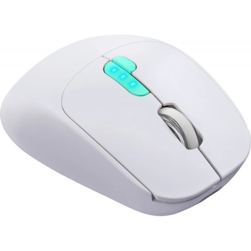 Myš Defender NITTA MM-307 RF+BT OPTICKÁ 1600dpi 6T BIELA