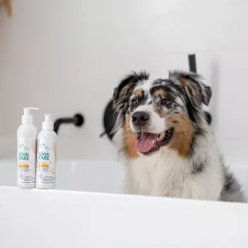 VETEXPERT Clinic Care Hypo&Omega 250 ml šampón pre mačky – hypoalergénny hydratačný šampón s omega mastnými kyselinami pre dospelé mačky, všetky typy srsti