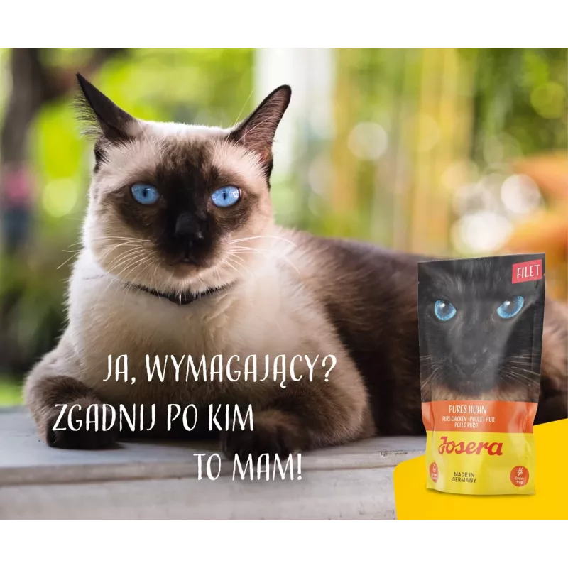 JOSERA Chicken Filet - mokré krmivo pre mačky - 70 g