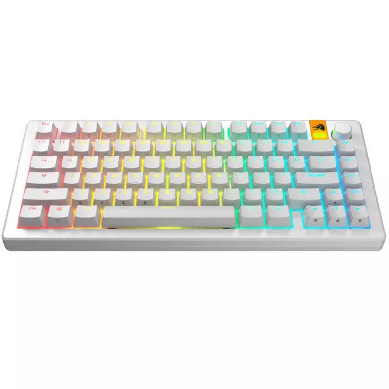 GLORIOUS GPBT Backlit Keycaps — PBT biela, ANSI layout