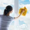 Frischer čistič skla s proti zahmlievaniu 1 l