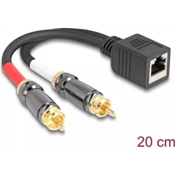 DeLOCK Audio kábel 0,2 m RJ-45 2 x RCA čierny