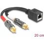 DeLOCK Audio kábel 0,2 m RJ-45 2 x RCA čierny