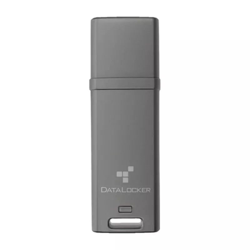 DataLocker 64GB DL GO 256BIT - Flash pamäť - viacfarebná (DLGO-064)