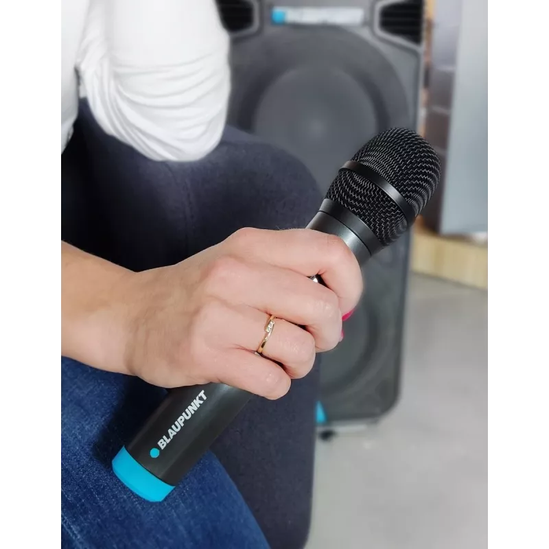 Mikrofón Blaupunkt WM40U