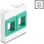 Nástenný montážny modulový rám 45x45 mm DELOCK Easy 2x keystone držiaky biely/zelený