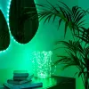 LED girlanda Twinkly TWD200STP-TEU viacfarebný vnútorný pás, rozostup 5 cm, IP20, priehľadný kábel