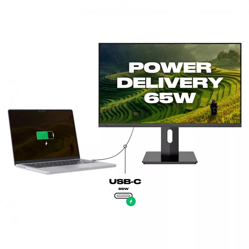 JAPANNEXT 4K UHD monitor 60,45cm (23,8) 3840x2160 pixelov, IPS panel, 8 ms, 60 Hz, AMD FreeSync, HDMI, DisplayPort (JN-IPS2380UHDR-C65W-HSP)