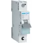 Hager MCS120 istič typ C 1-pólový 1 modul (MCS120)