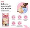 INABA Churu tuniak s lososom - maškrty pre mačky - 4x14 g