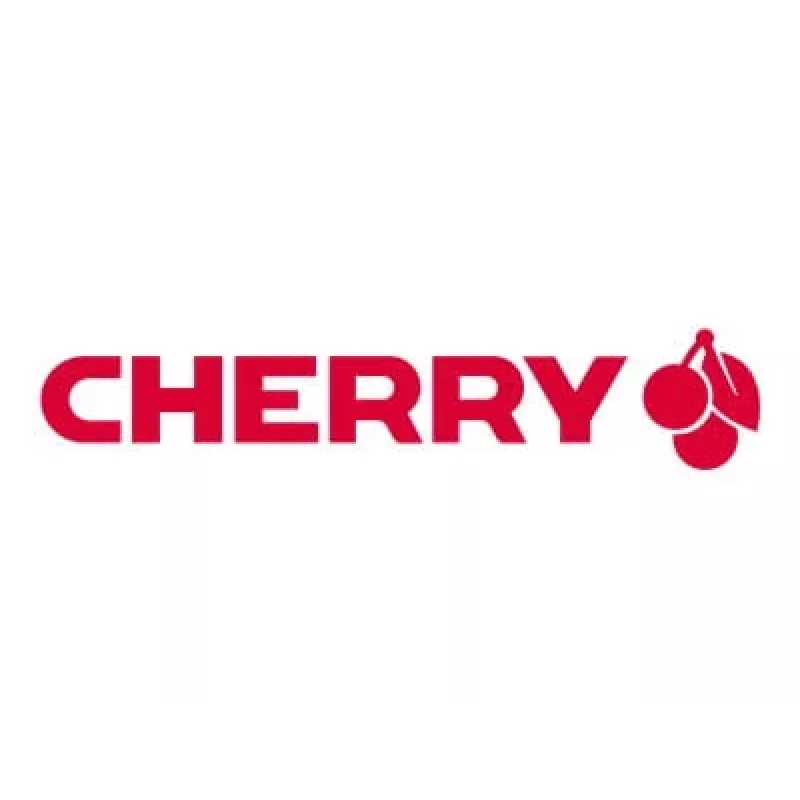 CHERRY G80-1800 klávesnica univerzálna USB QWERTZ nemecký sivý
