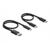 Delock M.2 dokovacia stanica - rozhranový adaptér - M.2 NVMe karta - USB 3.2 (Gen 2) - strieborná