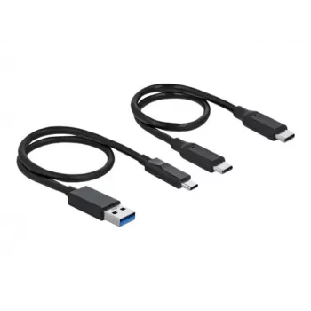 Delock M.2 dokovacia stanica - rozhranový adaptér - M.2 NVMe karta - USB 3.2 (Gen 2) - strieborná