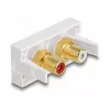 DeLOCK Easy 45 zásuvka 2 x RCA biela ABS