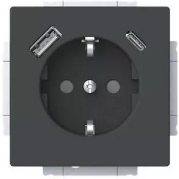 Busch-Jaeger SCHUKO zásuvka USB-A+C 20 EUCB2USBAC-885 (2CKA002011A6312)